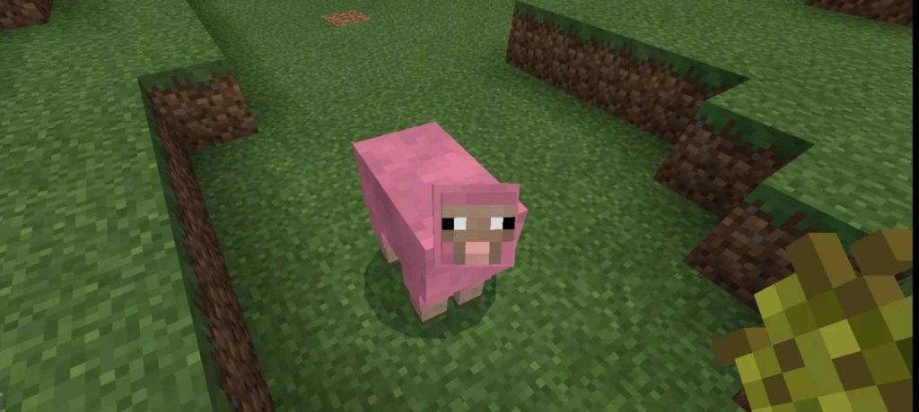 Pink Sheep In Minecraft Spawn Probability  
